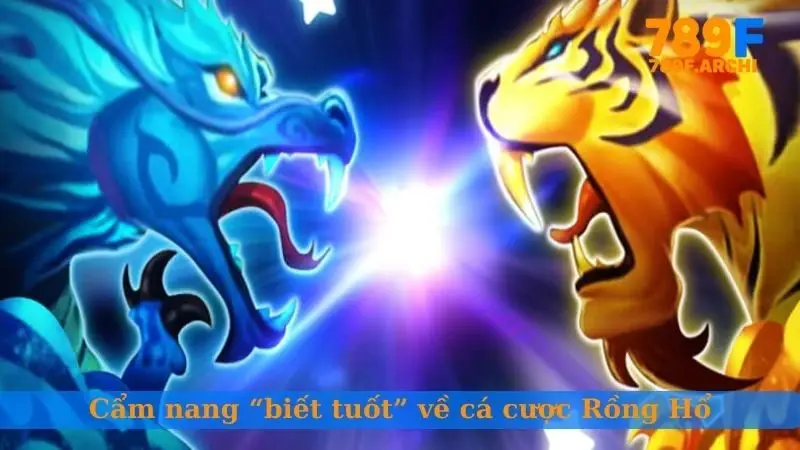 Cẩm nang “biết tuốt” về cá cược Rồng Hổ